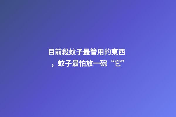 目前殺蚊子最管用的東西，蚊子最怕放一碗“它”
